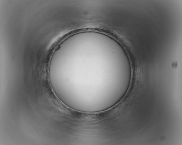 X0000112821262200909111314