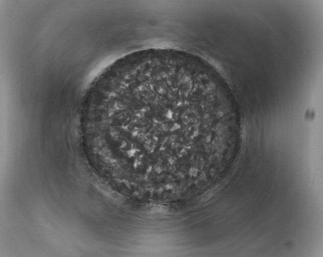 X0000112821263200909111314