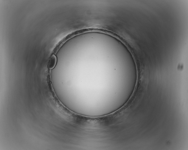 X0000112821264200909111314