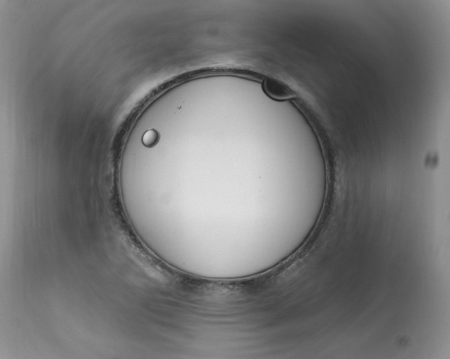 X0000112821270200909111314