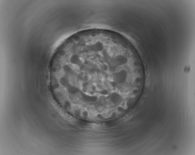 X0000112821271200909111314