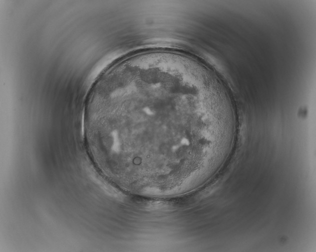 X0000112821275200909111314