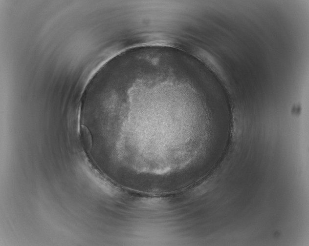 X0000112821276200909111314