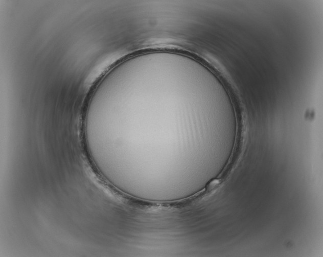 X0000112821277200909111314