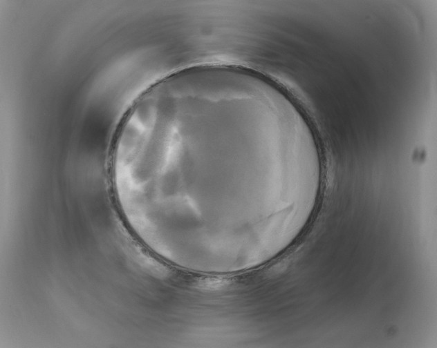 X0000112821278200909111314