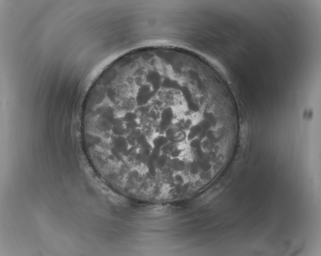 X0000112821279200909111314