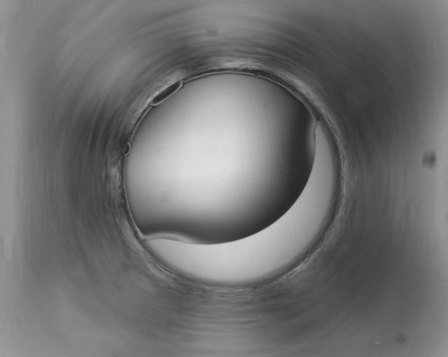 X0000112821281200909111314