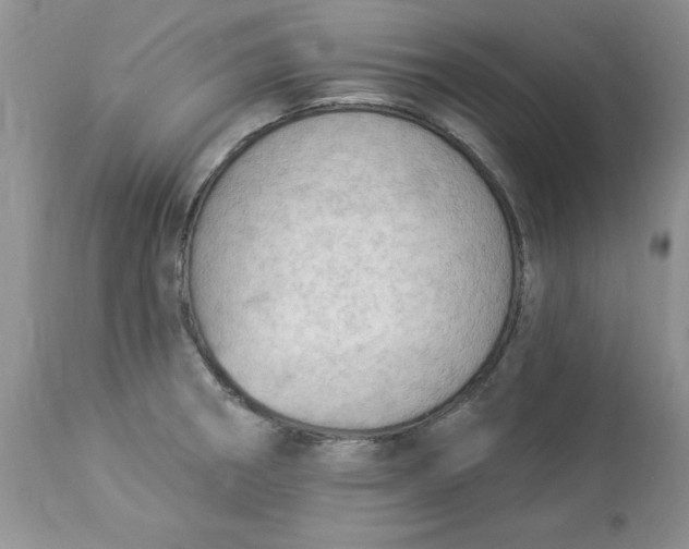 X0000112821282200909111314