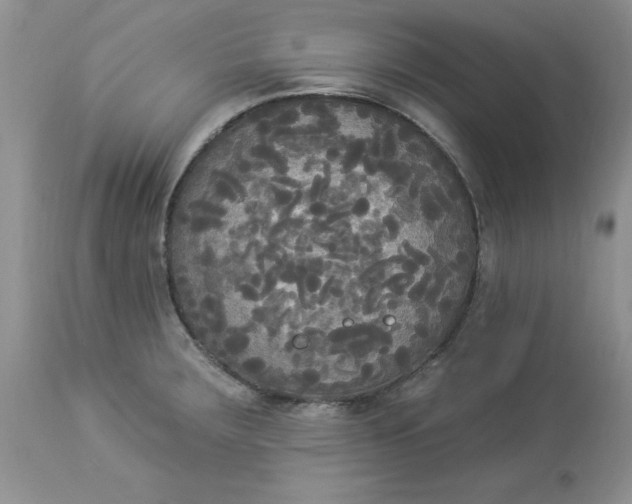 X0000112821283200909111314