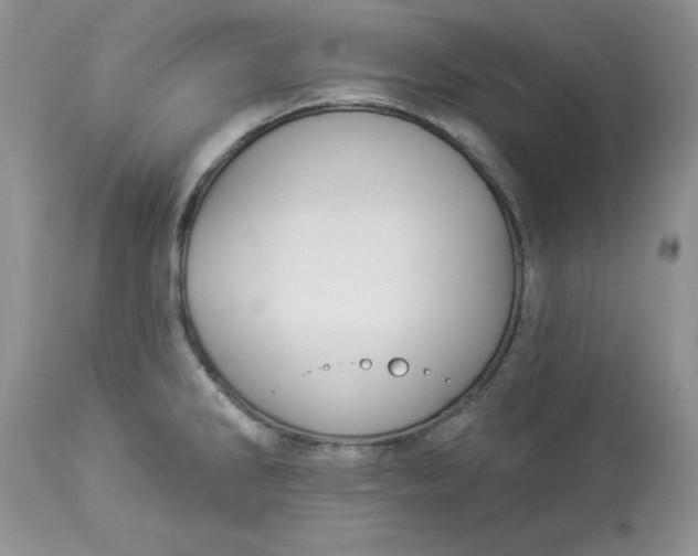 X0000112821286200909111314