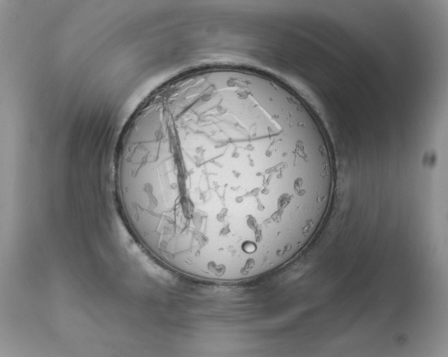 X0000112821287200909111314