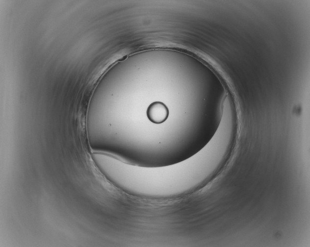 X0000112821289200909111314