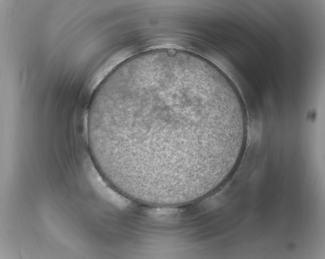 X0000112821290200909111314