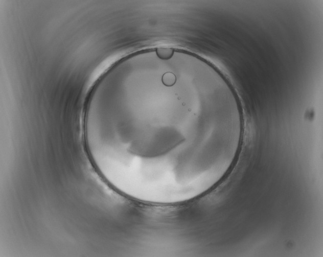 X0000112821294200909111313