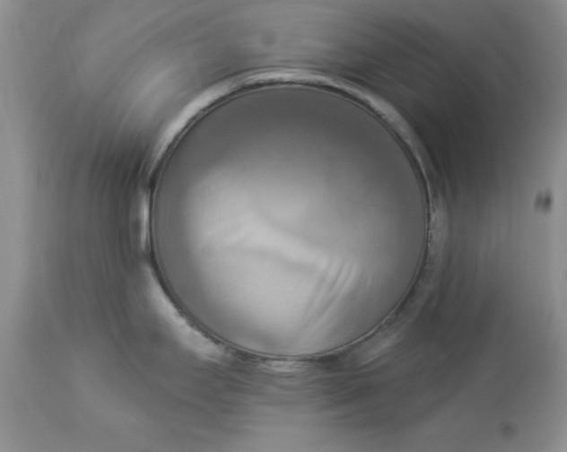 X0000112821295200909111313