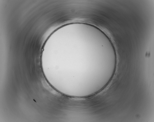 X0000112821296200909111313