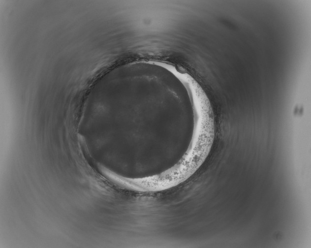 X0000112821297200909111313