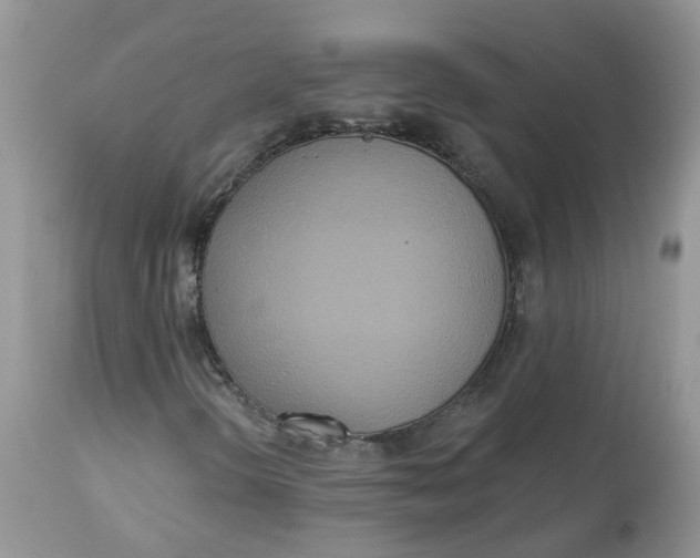 X0000112821298200909111313