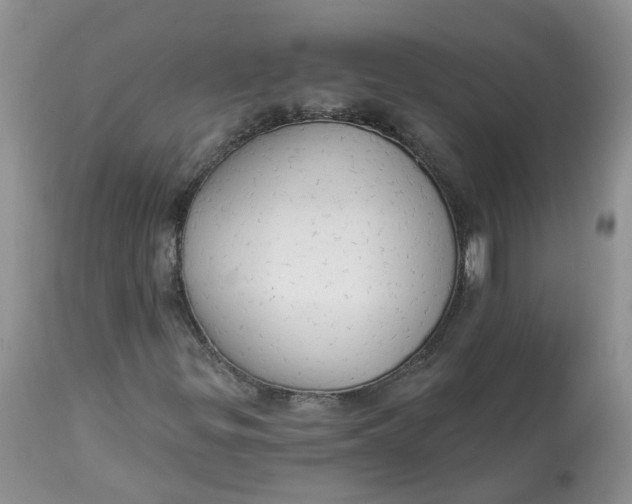 X0000112821299200909111313