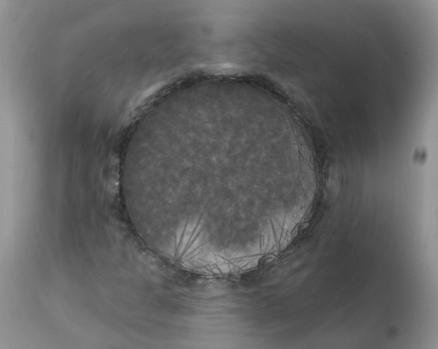 X0000112821301200909111313