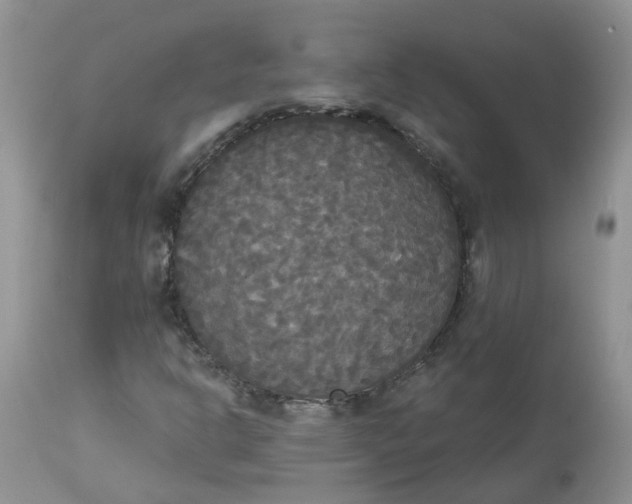 X0000112821302200909111313