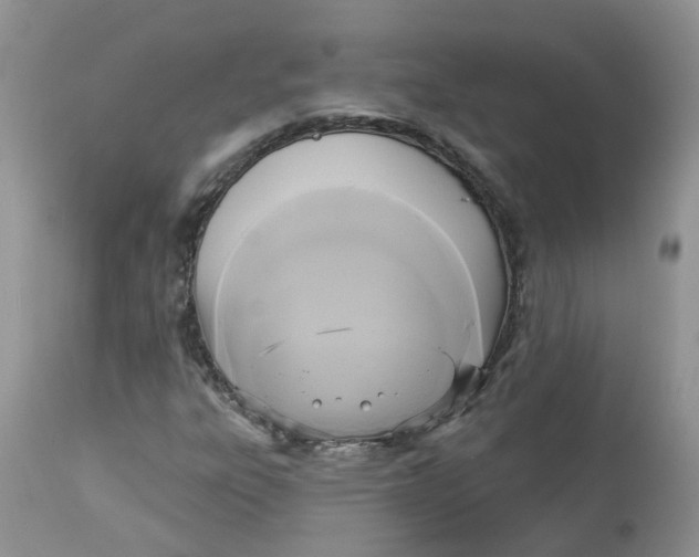 X0000112821303200909111313