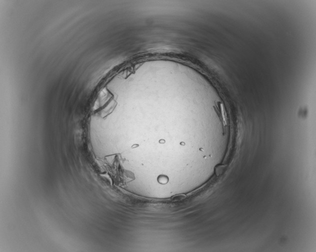 X0000112821305200909111313