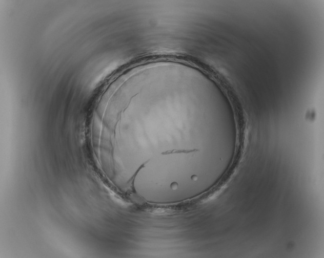 X0000112821306200909111313