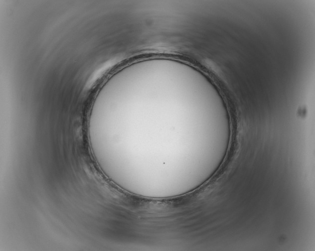 X0000112821307200909111313