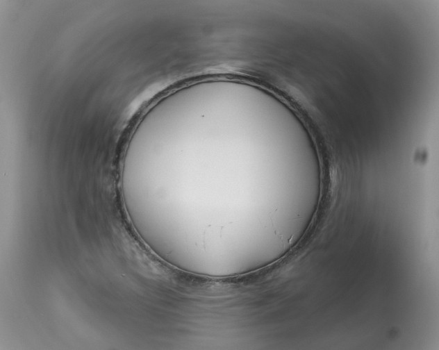 X0000112821308200909111313