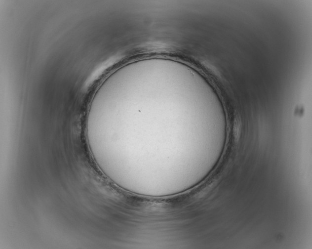 X0000112821309200909111313