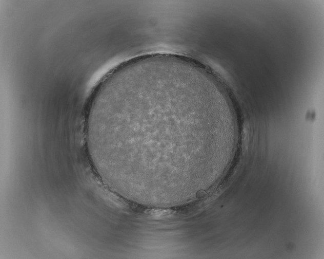 X0000112821310200909111313