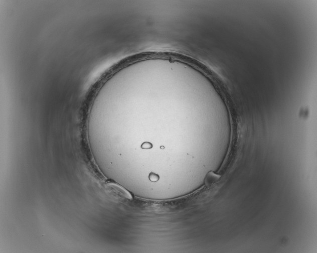 X0000112821311200909111313