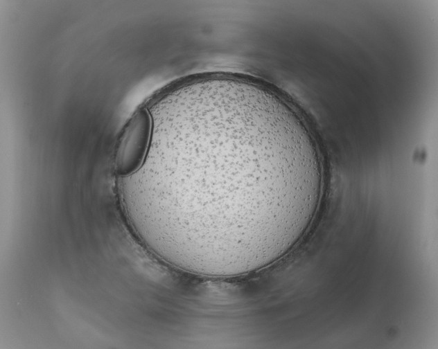 X0000112821312200909111313