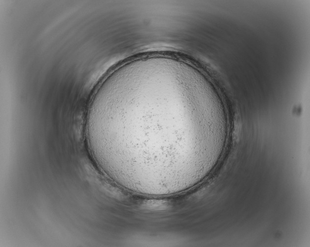 X0000112821313200909111313