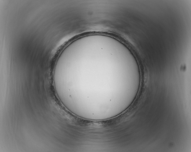 X0000112821315200909111313