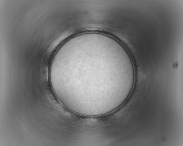 X0000112821317200909111313