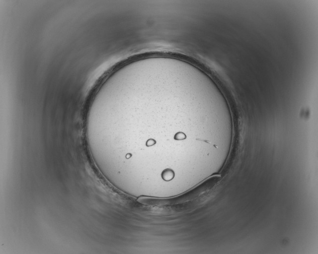 X0000112821318200909111313