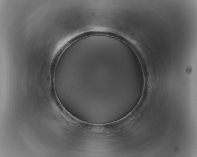 X0000112821319200909111313