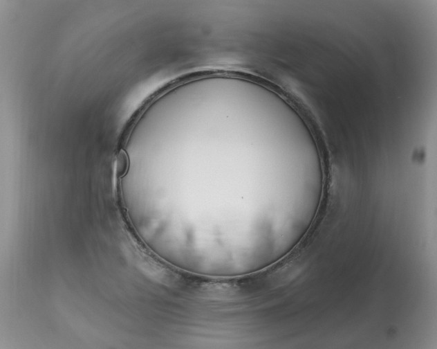 X0000112821320200909111313