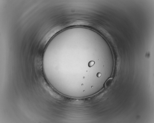 X0000112821321200909111313