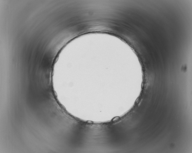 X0000112821322200909111313