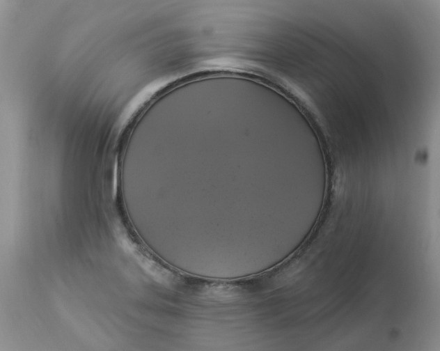 X0000112821323200909111313