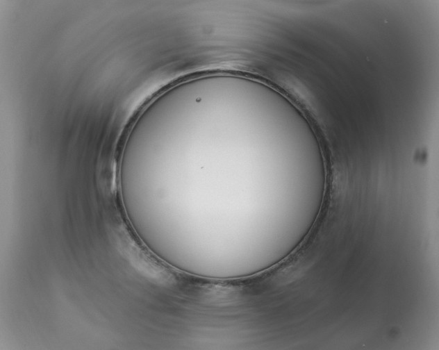 X0000112821324200909111313