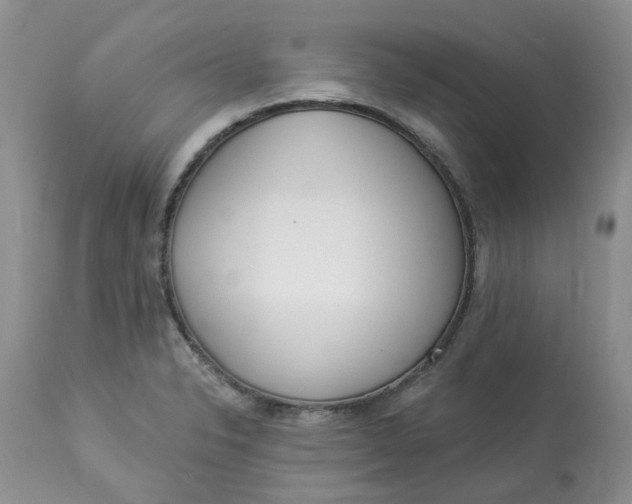 X0000112821326200909111313