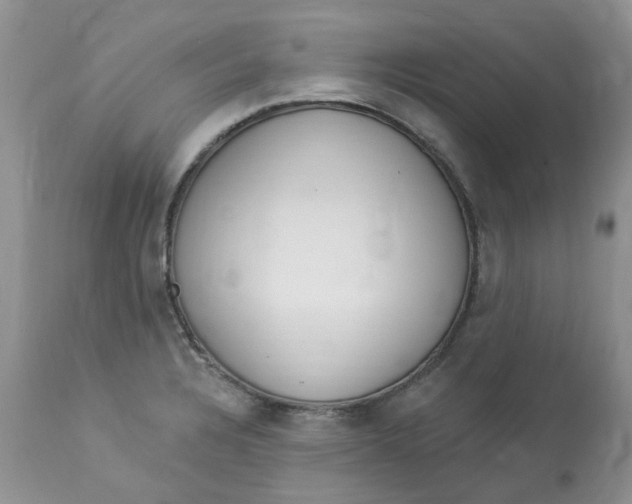 X0000112821328200909111313