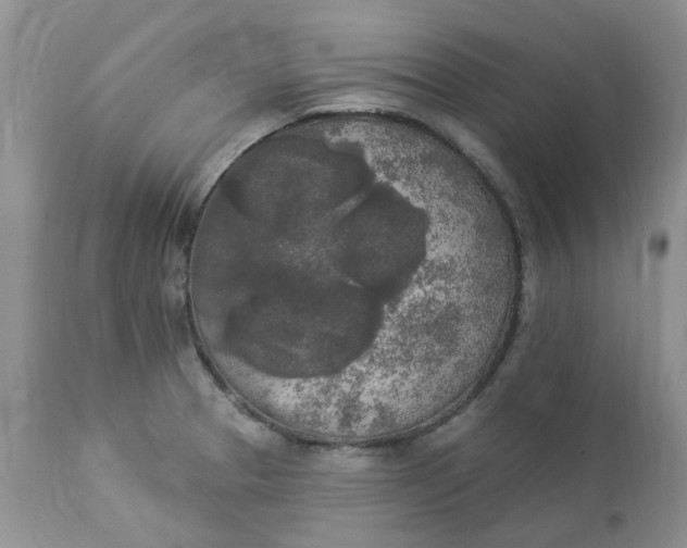 X0000112821329200909111313