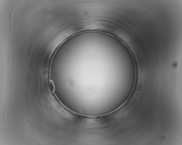 X0000112821330200909111313