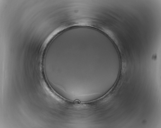 X0000112821331200909111313