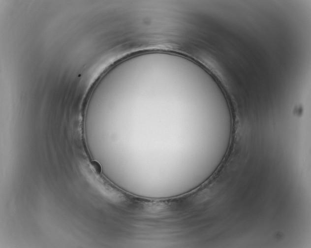 X0000112821332200909111313